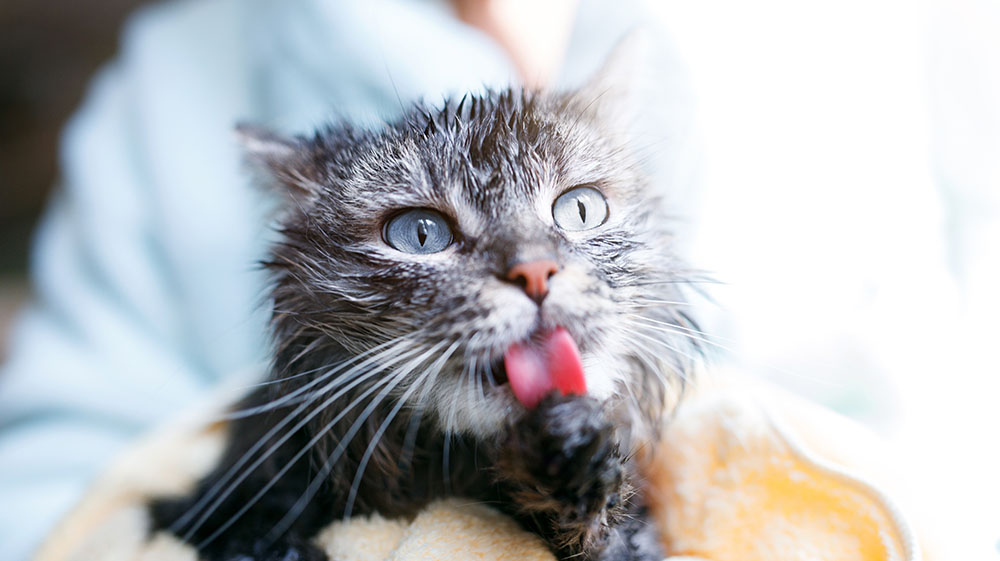 Unsplashed background img 2