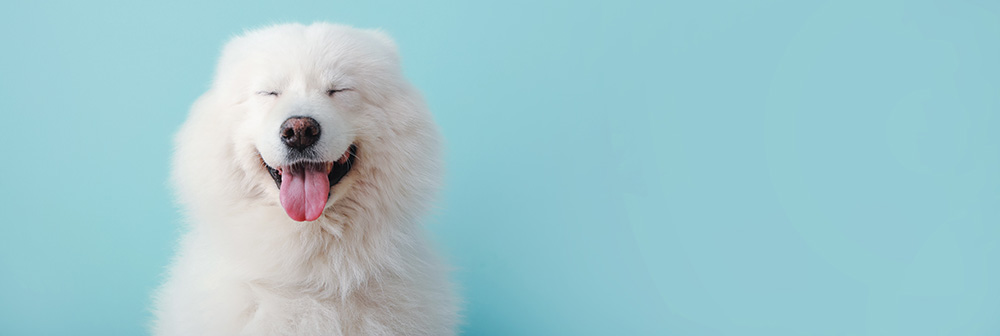 Unsplashed background img 1