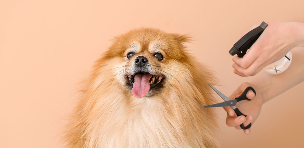 Unsplashed background img 2