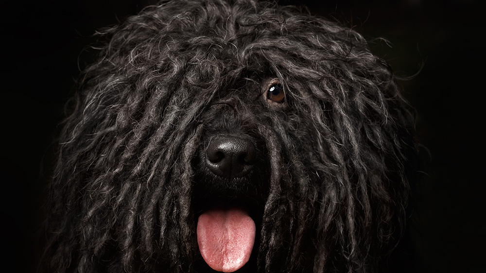 Unsplashed background img 3